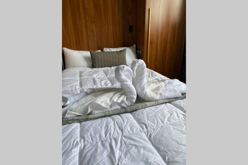 3E-Cozy! Micro Apartment Minutes From Shadyside, Sleeps 1 ピッツバーグ エクステリア 写真